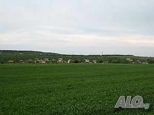 image_7