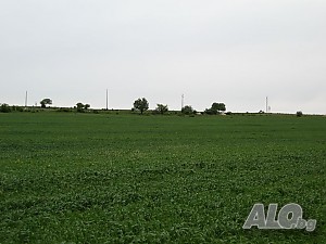 image_10