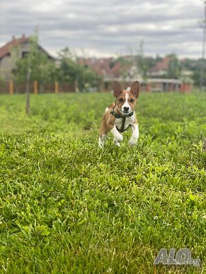 image_14