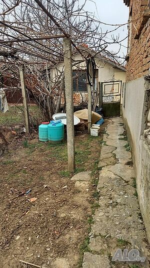 image_6