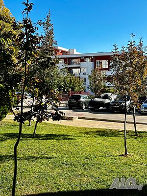 image_15