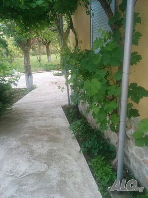 image_15