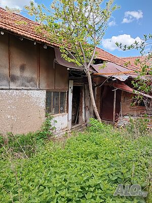 image_9