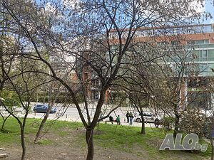 image_12
