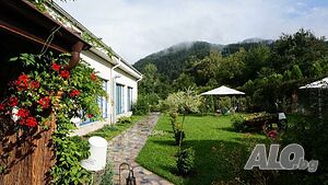 image_8