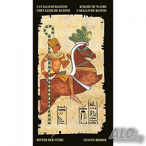 image_8
