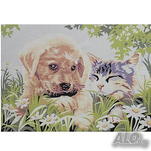 image_4