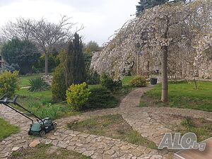 image_7