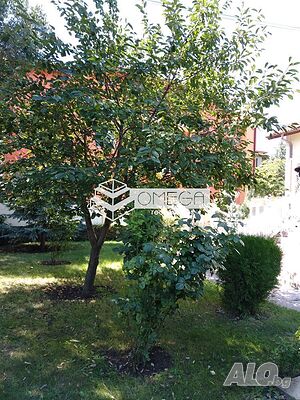 image_15