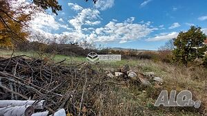 image_3