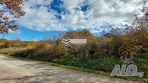 image_8