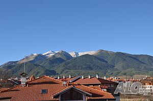 image_13
