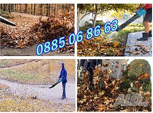 image_4