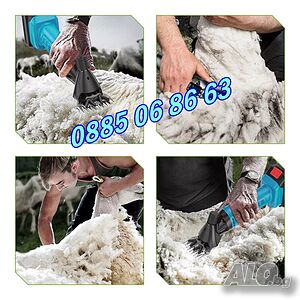 image_3
