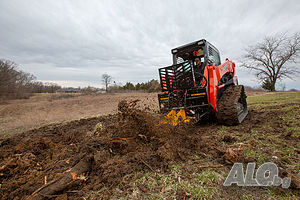 image_6