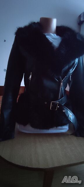image_6
