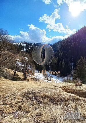 image_13