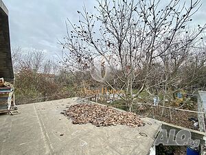 image_12