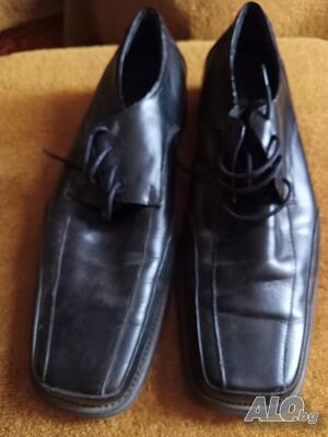 image_8