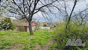 68 кв.м РЗП 875 кв.м двор