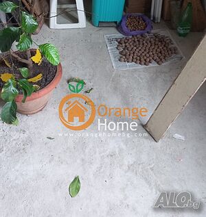 image_8