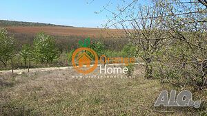 image_6