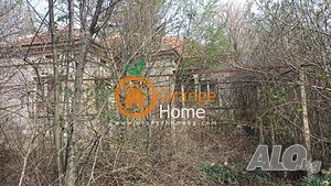 image_10
