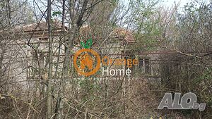 image_12
