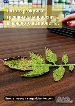 image_2