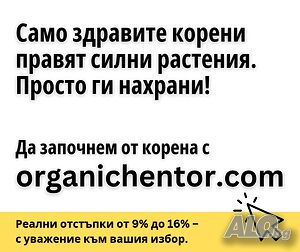 image_12
