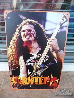 Метална табела музика Pantera Dimebag Darrell метъл китара китарист на живо концерт
