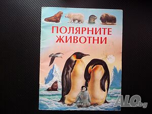 Полярните животни детска красиви рисунки бяла мечка пингвини морски лъв овцебик морж тюлени сова пан