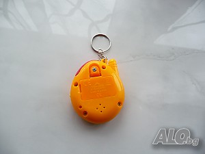 image_4