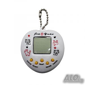 image_7
