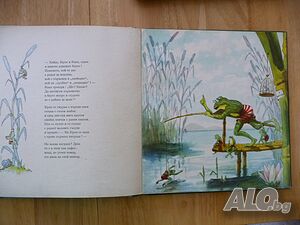 image_2