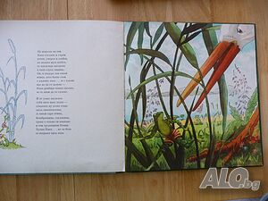 image_3