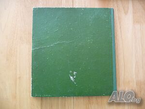 image_5