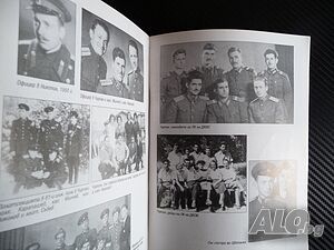 image_4