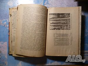 image_4