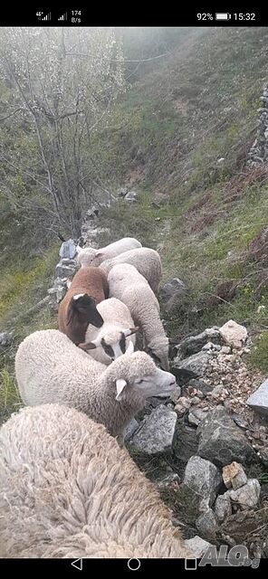 image_2