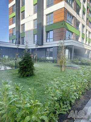 image_2