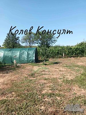 image_15