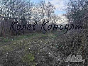 image_9