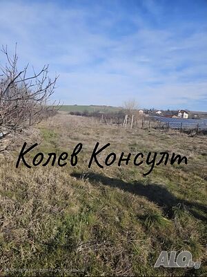 image_8