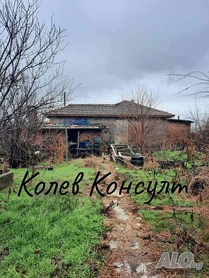 image_11