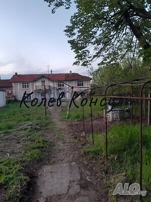 image_5
