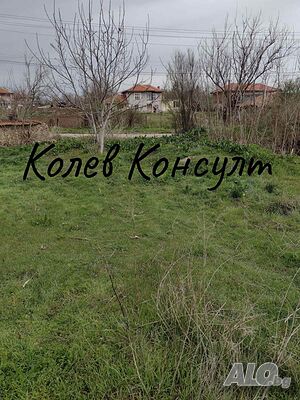image_7