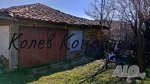 image_6