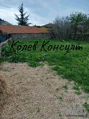 image_9