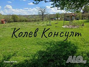 image_3